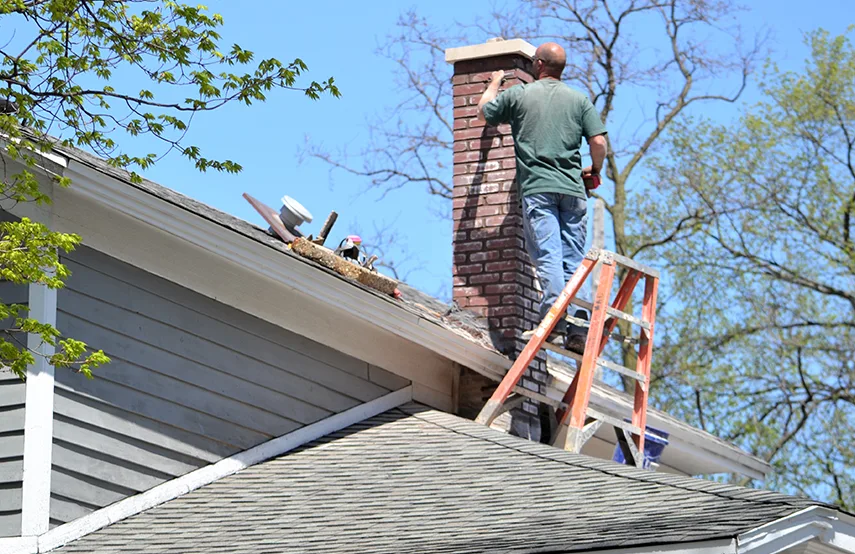 Chimney & Fireplace Inspections Services in Dickson, TN
